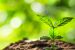 Other Environment Related Laws