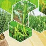Exports of GI-tagged Agri products