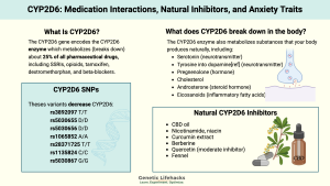 CYP2D6 Gene