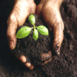 Assam Promotes Pipe Composting
