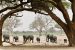 Hwange National Park