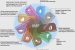 Integrated Island Management Plan