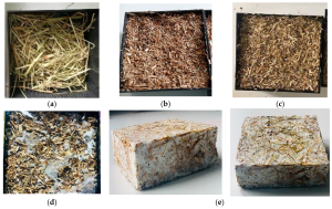 Mycelium-Based Materials