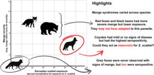 Sympatric Wildlife Species