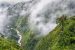 Tropical Carbon Sink