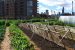 Centre plans new method to measure farmer income
