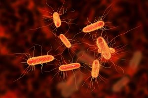 Genetically Engineered Bacteria Enable Self-Powered Biosensors