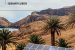 Environment Ministry to relax lease rent on wind power projects