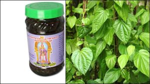 GI tag for Tirur Vettila leaf