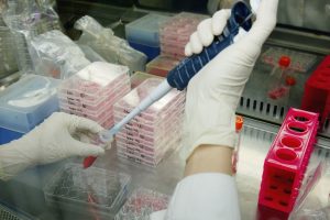 Government to open its test facilities to Private Sector