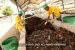 IIT-KGP develops Hydro Thermal Carbonization technology for Waste Management