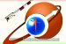 ISRO to set up Technical Liaison Unit at Moscow