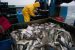 Rise in Accumulations of Methyl-mercury toxin in Fish