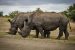 Species Protection in India
