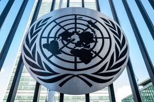 UNSC questions rights granted to minorities in China & Pakistan