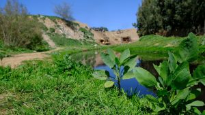 WADI (Wasteland Development in India)