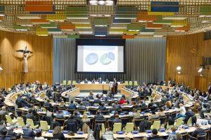Intergovernmental Panel on Climate Change