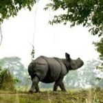 Assam to expand Kaziranga National Park
