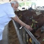PM Modi to launch National Animal Disease Control Programme