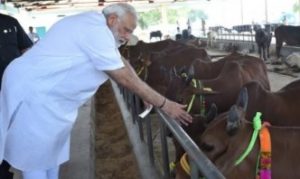 PM Modi to launch National Animal Disease Control Programme