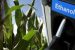 CCEA hikes ethanol procurement price for fuel blending