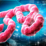 Ebola