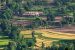 Himachal Pradesh: 2,000 Panchayats under Natural Farming