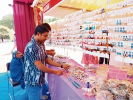 SARAS mela