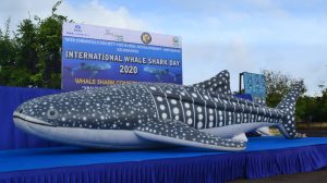 WTI campagins to protect Whale Shark.