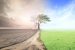 Climate and Environmental Emergency declared by European Union Parliament