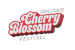 India International Cherry Blossom Festival celebrated in Shillong