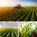 6th World Congress on Rural and Agricultural finance