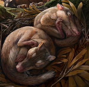 New fossil remains- missing link in auditory evolution