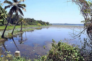 Study on the shrinking Vellayani Lake