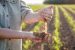 Antibiotics in Crops registered under Insecticide Act 1968