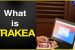 Haryana Police adopts unique barcoding software ‘Trakea’