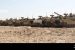 Iron Union 12: UAE, US Joint Military Exercise commence