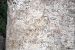 South India’s earliest Sanskrit Inscription found in A.P.