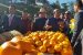 State-Level Orange Festival begins in Manipur