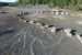 World’s oldest Fossil Forest found in US