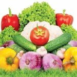 West Bengal topped in Vegetable Production, Andhra Pradesh in Fruits