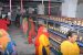 First Silk Processing plant in Gujarat to boost “PATOLA SAREE” production