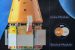 IDRSS: ISRO new satellite to help Gaganyaan crew