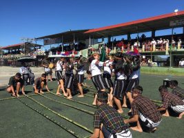 Zo Kutpui Festival organised in Mizoram