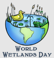 Facts Box: World Wetlands Day