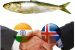Cabinet Approval: India-Iceland MoU in Sustainable Fisheries Development