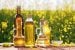 GoI to launch “TILHAN Mission” to make India Self Reliant in oil seed Production