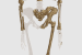 Fossil links human hands to fins for the first time in Human Evolution