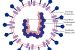Government of India allows private sector to diagnose Corona Virus