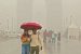 IMD: El Nino to be neutral; Normal Monsoon rains for India